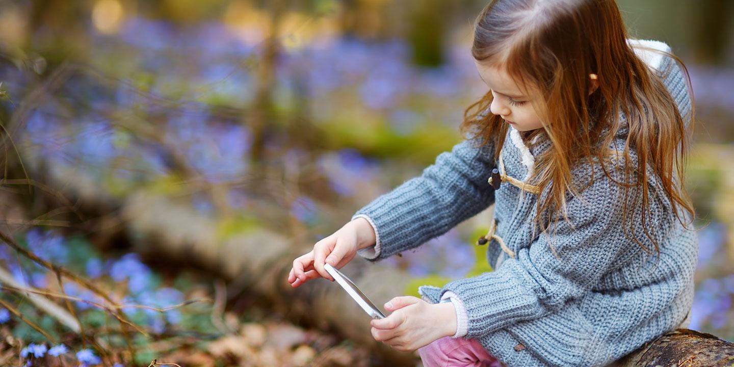 Eine App kann dabei helfen, dass Kinder mehr über die biologische Vielfalt im Wald lernen.