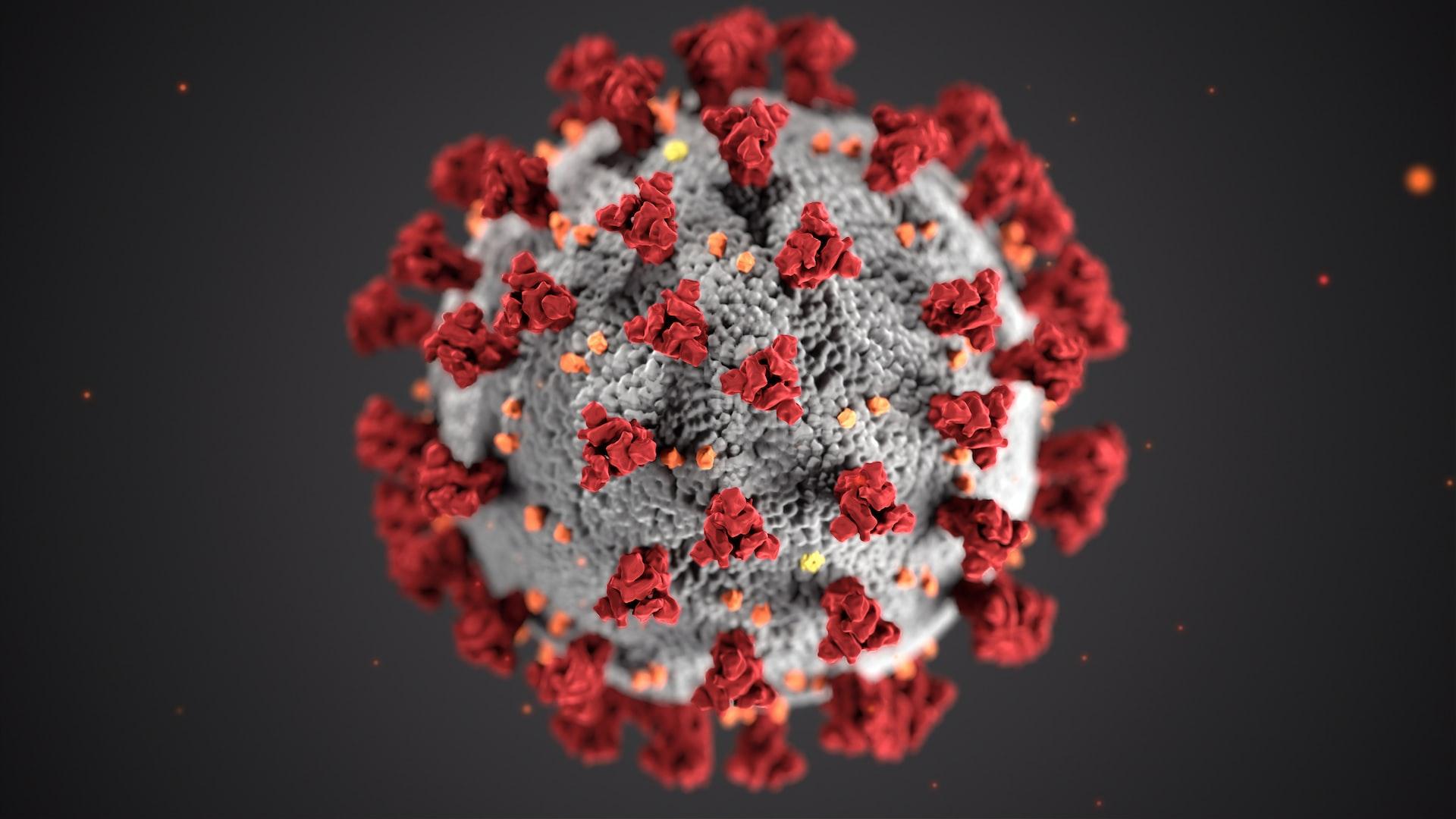 Zeerleder_Körpereigenes Immunsystem.jpg