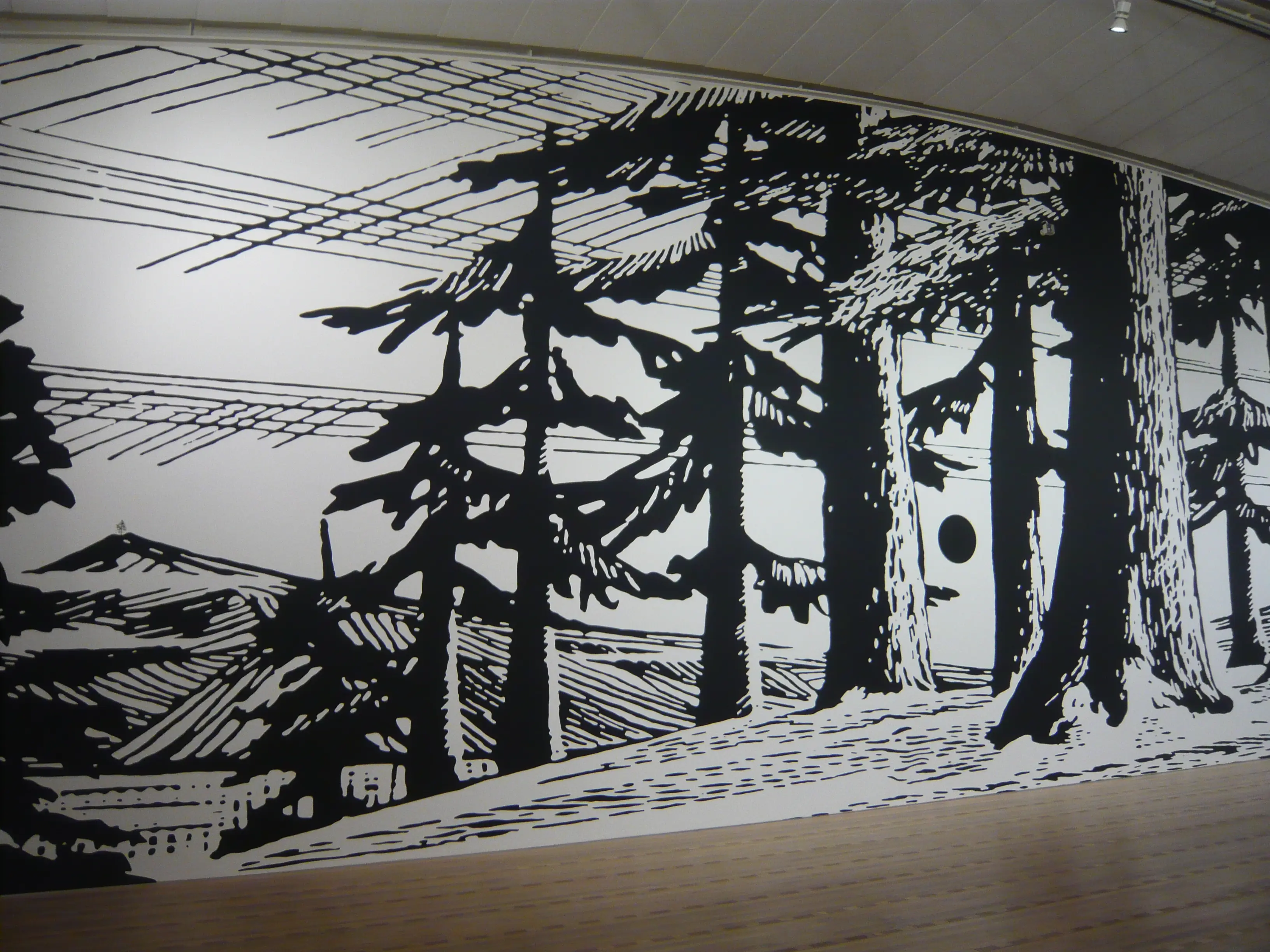 Bäume in Echtgrösse: Paul Morrisons schwarz-weisse Waldlandschaft im Zentrum Paul Klee