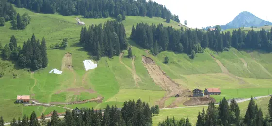 Landslides nesar Oberiberg SZ