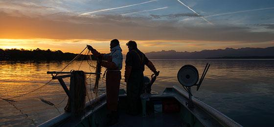 Fischer auf dem Genfersee holen ihre Netze ein.