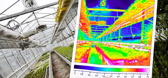 The picture shows a thermographic image of a greenhouse.
